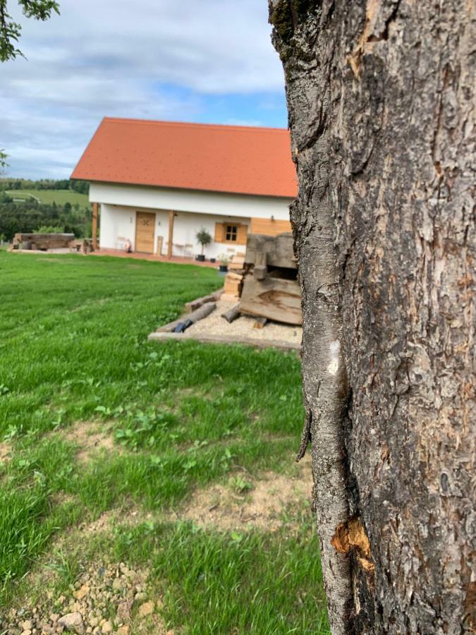 Das Weinstoeckl Inzenhof エクステリア 写真